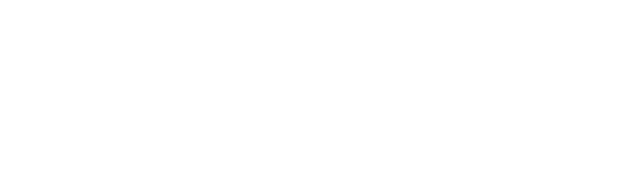 Apple Search Ads Partner